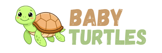 Baby turtles